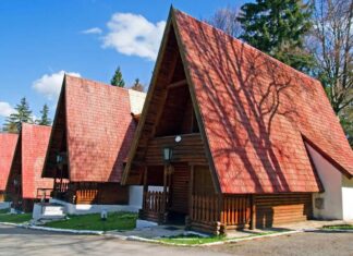 Proiect de lege: tichete de vacanta cu impozit zero la angajator
