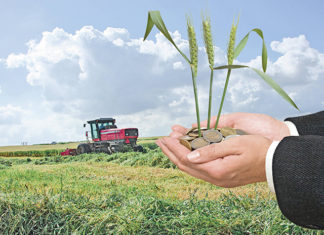Romanii se afla pe locul doi in topul Eurostat dupa venitul real pe agricultor