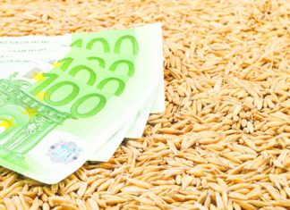 In 2013 s-au exportat 8,1 tone de produse agroalimentare