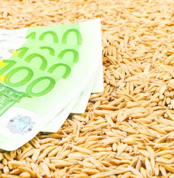 In 2013 s-au exportat 8,1 tone de produse agroalimentare