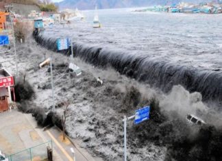 Catastrofele naturale au facut pagube de 125 de miliarde de dolari