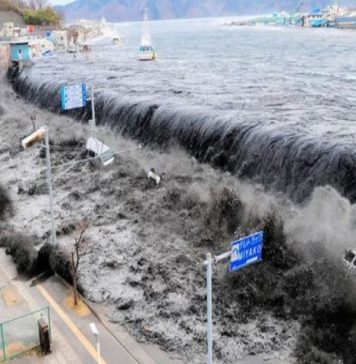 Catastrofele naturale au facut pagube de 125 de miliarde de dolari