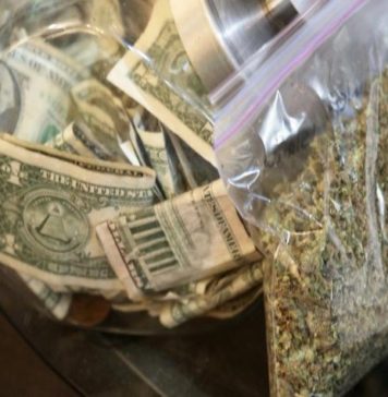 Cifrele AMETITOARE ale legalizarii INDUSTRIEI DE MARIJUANA DIN SUA!VIDEO