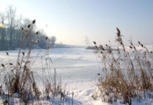 Zapada a atenuat cele doua pericole ale agriculturii