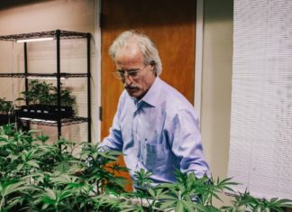 Bancile din SUA refuza sa crediteze afacerile cu marijuana legala