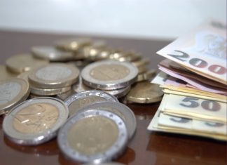 LEUL a avut cea mai buna evolutie din UE in raport cu EURO in 2013
