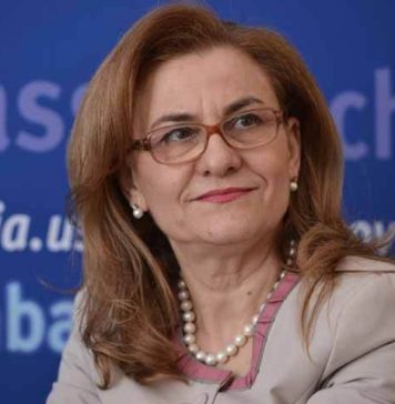Grapini renunta la functie pentru alegerile europarlamentare
