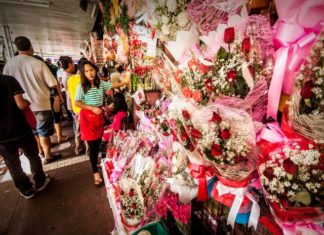 Floridelux.ro estimeaza vanzari de 20000 de euro