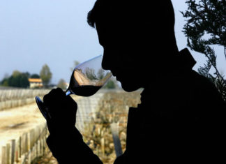 Viticultorii din Prahova au atras fonduri de 18 milioane de euro