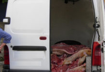 Rusia nu mai vrea carne de porc din Moldova!