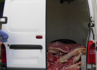 Rusia nu mai vrea carne de porc din Moldova!
