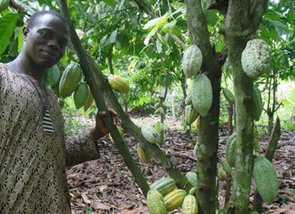 Nigeria a devenit cea mai mare economie din Africa!