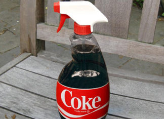 Tu ce pesticide folosesti? Indienii folosesc Cola si Pepsi! VIDEO